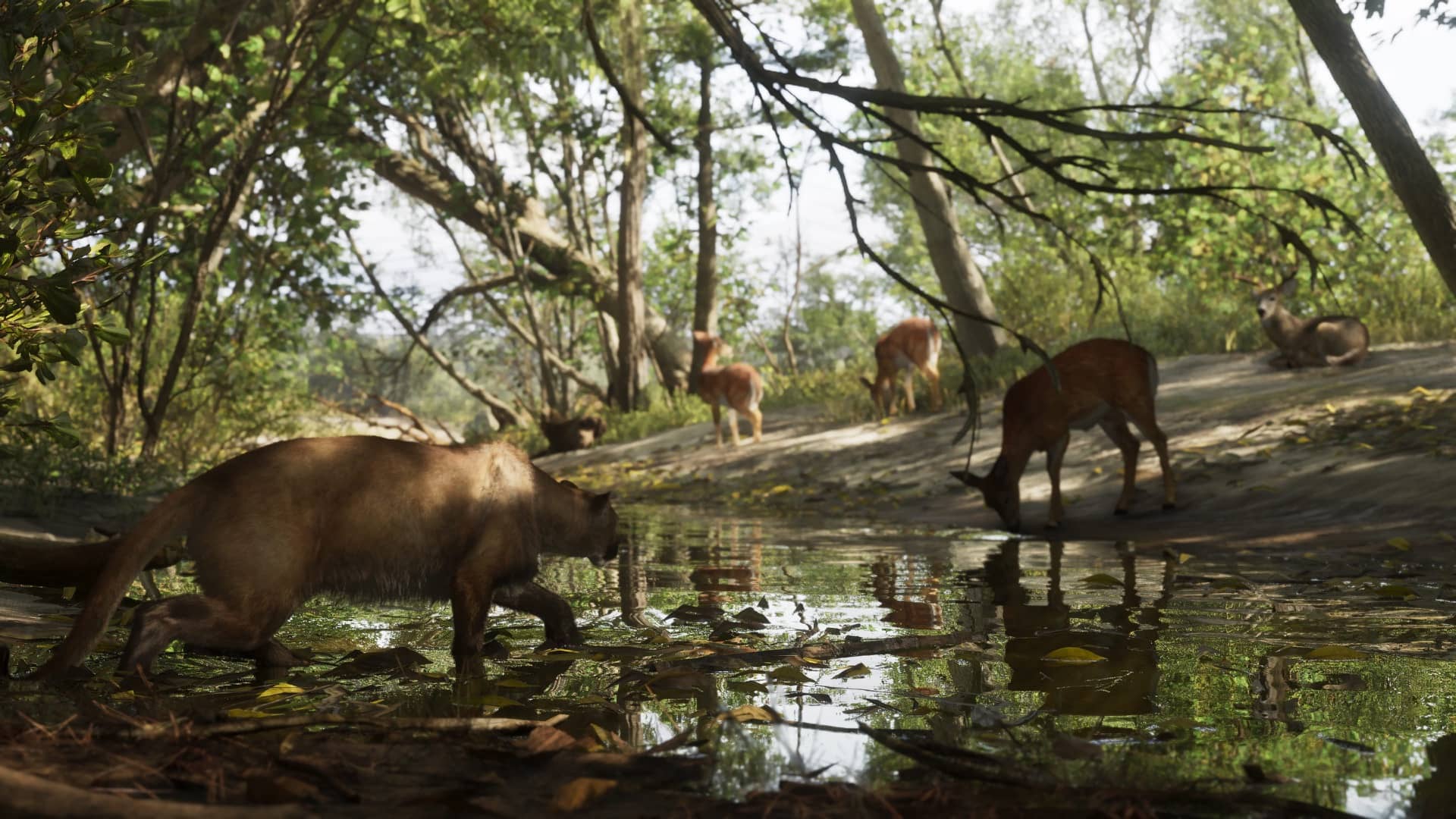 Bir Mount Kalaga deresinde bir panter ve geyikler — Mount Kalaga National Park, GTA 6 Milli park